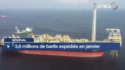 Sénégal : 3,8 millions de barils de pétrole expédiés en janvier 2026