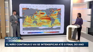 El Niño is expected to gain strength in the country by the end of the year