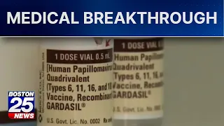 HPV vaccine linked to sharp drop in cervical cancer deaths, study finds