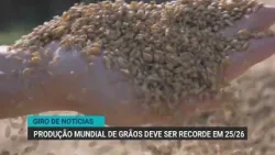 Gripe aviária impacta exportações de frango do RS | Giro de Notícias