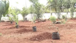 Prakriti Ke Anmol Aanchal - DAV College Tree planting