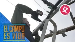 Guille hace reformas en los invernaderos | El campo es vida