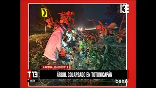 Tree falls on the Inter-American Highway in Totonicapán, blocking traffic