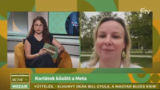 Korlátok között a Meta – Mozaik