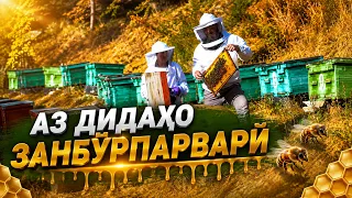 From My Observations | Beekeeper | Qurbonzoda Halim