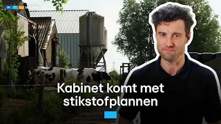 Kabinet komt met stikstofplannen, dit is het probleem | RTL Nieuws