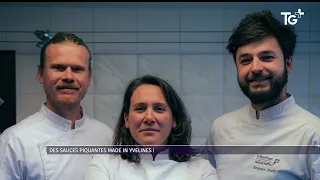 JT des Territoires  - 10/07/26 - Quand le salariat ne fait plus rêver
