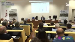 IMAGES OF OUR LAND - ACADEMY OLIVO IN CAMPO CALABRIA 2026