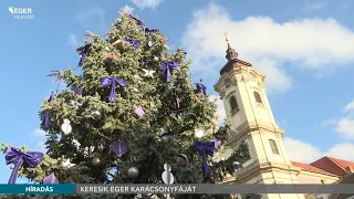 Keresik Eger karácsonyfáját - 2026.09.15.