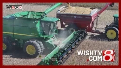 Indiana soybean harvest is underway