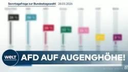 UMFRAGE IN DEUTSCHLAND: AfD auf Augenhöhe – gleichauf mit Union! Sonntagsfrage zur Bundestagswahl