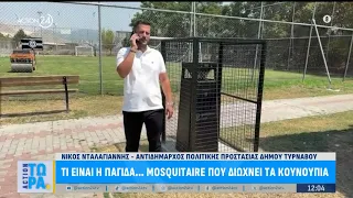 Τι είναι η παγίδα... Mosquitaire που διώχνει τα κουνούπια | ACTION 24