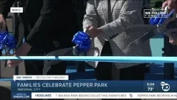 В Национал-Сити открылся парк Pepper Park.