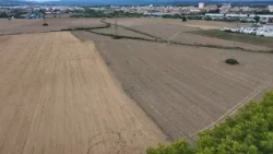 L'Observatori del Trueta tem que les eleccions endarrereixin tràmits