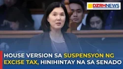 House version sa suspensyon ng excise tax, hinihintay na sa Senado - Sen. Pia Cayetano