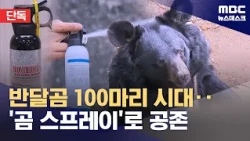 [Exclusive] Era of 100 Asiatic Black Bears in Jirisan... 'Bear Spray' to be Introduced Starting N...