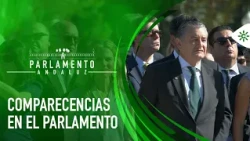 0000156081___andalusian-parliament-20261018_0830_0000