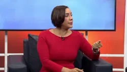 Gustavo Guzmán habla sobre el estado actual de los aprestos en el PLD | Despierta RD