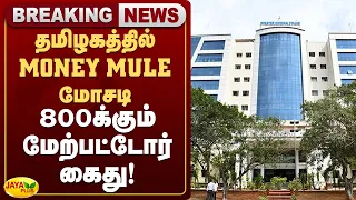 தமிழகத்தில் MONEY MULE மோசடி- 800க்கும் மேற்பட்டோர் கைது! | Jaya Plus