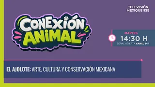 Animal Connection 09/15/2026