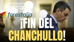 ?El PITUFEO de las LICENCIAS deja MUY TOCADO a SÁNCHEZ?