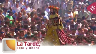 The Afternoon, Here and Now | The Virgin’s Arrival, the procession of the Blanca Paloma to Almonte