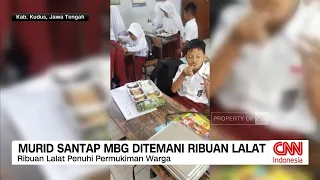 Murid Santap MBG Ditemani Ribuan Lalat