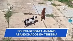 Polícia resgata animais abandonados em Teresina | Meio Norte