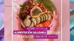 The Importance of a Balanced Diet for Breast Cancer
