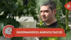 EnRed | El invernadero que produce alimentos y energía solar.