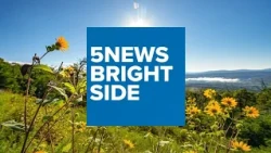 The 5NEWS Bright Side