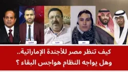 مناظرة: كيف تنظر مصر للأجندة الإماراتية.. وهل يواجه النظام هواجس البقاء؟
