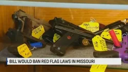 Missouri lawmaker introduces bill to prohibit red flag gun laws