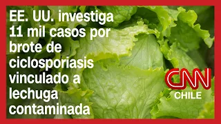 EE.UU. investiga 11 mil casos por brote de ciclosporiasis vinculado a lechuga contaminada