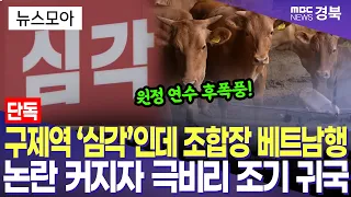 Livestock Cooperative Heads Go on Vietnam Trip Despite 'Severe' Foot-and-Mouth Disease Outbreak A...