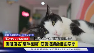 【CNN精選】喝咖啡還能「嚕貓」! 美國貓咖啡店長拯救浪貓.療癒自己｜TVBS新聞 @TVBSNEWS01