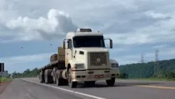 Preços de produtos suinícolas recuam com maior oferta, aponta Cepea