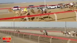 رسالة كأس الاتحاد الدولي لرياضات وسباقات الصقور | 14 فبراير 2026