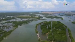 Ký sự 31/10/2025 | Chảy đi sông ơi | Tập 14: Sông Dinh - Huyết mạch thủy nội địa BR-VT | BRT TV Ký sự 31/10/2025 | Chảy đi sông ơi | Tập 14: Sông Dinh - Huyết mạch thủy nội địa BR-VT | BRT TV