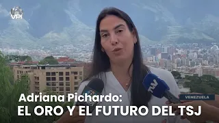 Pichardo responde: ¿Quién administrará el oro y cómo se escogerán los magistrados del TSJ?