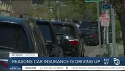 Insurance expert explain increasing car insurance costs