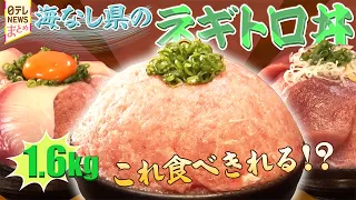 【こだわり海鮮】驚きの超山盛りネギトロ丼/リピーター続出！デカネタにぎり/食べたい魚をお好みで調理