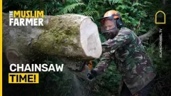 Chainsaw time! Clearing a fallen tree! | The Muslim Farmer EP. 3
