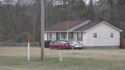 19 indicted in years-long Twiggs County dogfighting ring