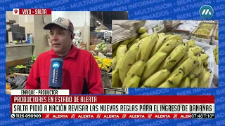 Productores salteños piden mantener la barrera sanitaria ante cambios en el ingreso de bananas