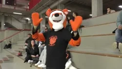 Volley, prima in Serie C femminile la Rainbow Spezia 20-03-2026