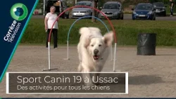 Sport Canin 19 à Ussac : Des activités pour tous les chiens