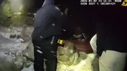 Backcountry campers in Colorado believe a mountain lion tried to enter their tents