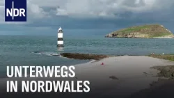 Wunderbares Wales: Von den Bergen bis ans Meer | Nordseereport | NDR Doku