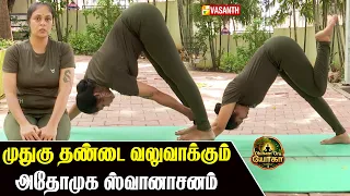 Adho Mukha Svanasana | முதுகு தண்டை வலுவாக்கும் அதோமுக ஸ்வானாசனம் | Dhinam Oru Yoga | Vasanth TV